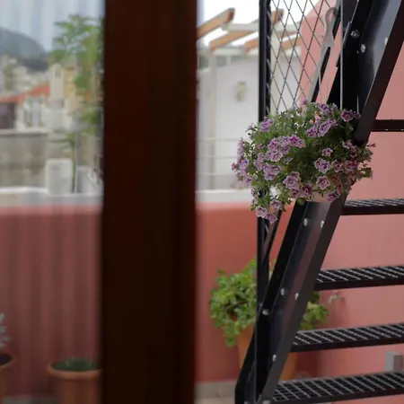 Mikio House Villa *